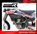 TXC 310 R Exhaust Header Head pipe Linkpipe Downpipe Kolano with PowerBomb 2013 - 2014 DOMINATOR 