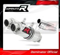 MONSTER 750 EXHAUST Ducati Muffler Auspuff Sportauspuff Silencer Echappement Silencieux Scarico Scarichi Escape Wydech Tłumik GP 1 1996 - 2002 Dominator