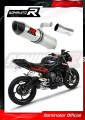 exhaust muffler DOMINATOR HP2 fits the motorcycle Triumph STREET TRIPLE 765 S R RS 2017   2019