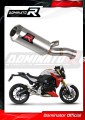 exhaust muffler DOMINATOR GP fits the motorcycle BMW F900R 2020   2026