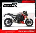 exhaust muffler DOMINATOR GP fits the motorcycle BMW F900R 2020   2026 4