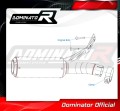 exhaust muffler DOMINATOR GP fits the motorcycle BMW F900R 2020   2026 5