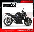 exhaust muffler DOMINATOR ROUND fits the motorcycle Yamaha FZ1 FAZER 1000 2006   2015 4