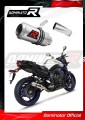 exhaust muffler DOMINATOR GP fits the motorcycle Yamaha FZ8 FAZER 2010   2016 5