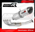 K1200RS EXHAUST BMW Muffler Auspuff Sportauspuff Silencer Echappement Silencieux Scarico Scarichi Escape Wydech Tłumik Carbon Tip HP1 2001 - 2003 Dominator 