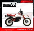 exhaust muffler DOMINATOR GP1 fits the motorcycle Yamaha XT 600 TENERE 1987   1989 4
