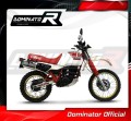 exhaust muffler DOMINATOR oval fits the motorcycle Yamaha XT 600 TENERE 1987   1989 4