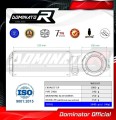 exhaust muffler DOMINATOR homologated road legal GP fits the motorcycle Kawasaki Z 900 2020   2024 5