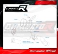 exhaust muffler DOMINATOR homologated road legal GP fits the motorcycle Kawasaki Z 900 2020   2024 6