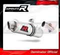 ER-6N ER-6F 650 EXHAUST Kawasaki Muffler Auspuff Sportauspuff Silencer Echappement Silencieux Scarico Scarichi Escape Wydech Tłumik OVAL 2006 - 2008 Dominator 1