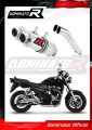 exhaust muffler DOMINATOR GP1 fits the motorcycle Suzuki GSX 1400 2001   2005