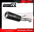 BMW F900R 2020 - 2021 EXHAUST Muffler Auspuff Sportauspuff Silencer Echappement Silencieux Scarico Scarichi Escape Wydech Tłumik GP BLACK DOMINATOR 1