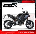 wydech tłumik DOMINATOR GP CZARNY pasujący do motocykla BMW F900R 2020 - 2026 4