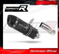 KAWASAKI Z900 2020 - 2022 motorcycle Exhaust Homologated ECE Type approval - Street legal  Muffler Auspuff Sportauspuff Silencer Echappement Silencieux Scarico Scarichi Escape Wydech Tłumik  HP1 BLACK DOMINATOR Exhaust System 1