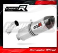 exhaust muffler DOMINATOR HP1 fits to BMW F800R 2009  2019
