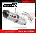 exhaust muffler DOMINATOR HP1 fits the motorcycle BMW S1000RR 2017   2018 2