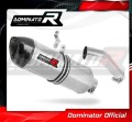 exhaust muffler DOMINATOR HP1 fits the motorcycle BMW S1000RR 2015   2016 2