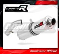 exhaust muffler DOMINATOR ROUND fits the motorcycle BMW R1200R 2006   2009