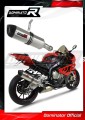 exhaust muffler DOMINATOR HP1 fits the motorcycle BMW S1000RR 2012   2014 4