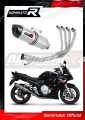 complete exhaust system with muffler DOMINATOR Full System HP1 fits the motorcycle Suzuki GSXF 650 2007   2016