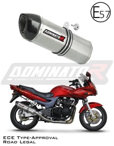Kawasaki ZR7 / ZR7S 1999 - 2004 EU-godkänd Avgas Ljuddämpare HP1