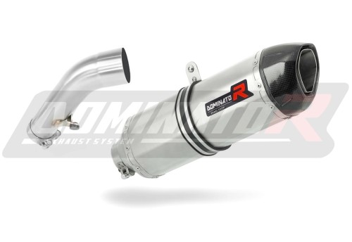 exhaust muffler DOMINATOR HP1 fits the motorcycle BMW R1200R 2006   2009 3