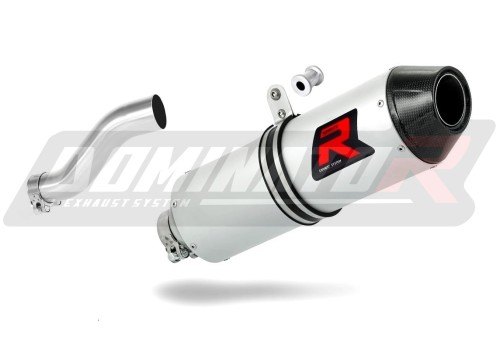 RENEGADE 800 EXHAUST Can-Am Muffler Auspuff Sportauspuff Silencer Echappement Silencieux Scarico Scarichi Escape Wydech Tłumik Carbon Tip MX Dominator  x