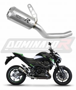 Kawasaki Z800 2013 - 2016 Avgas Ljuddämpare GPS + dB killer