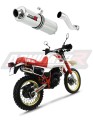 exhaust muffler DOMINATOR GP1 fits the motorcycle Yamaha XT 600 TENERE 1987   1989 6