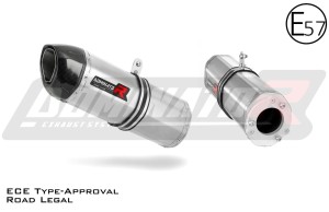 Kawasaki ZX9R 1998 - 2002 EU-godkänd Avgas Ljuddämpare HP1