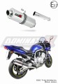 Yamaha FZS FAZER 1000 2001 - 2005 Motorcycle EU Approved Street Legal Muffler Auspuff Sportauspuff Silencer Echappement Silencieux Scarico Scarichi Escape Wydech Tłumik OV Dominator Exhaust System x