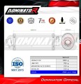 exhaust muffler DOMINATOR oval fits the motorcycle BMW R1100RS  5