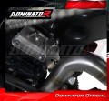 complete exhaust system with muffler DOMINATOR Full System titanium P7 fits to BMW F900GS Adventure 2024  5