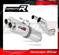 Pegaso 650 Trail Exhaust Aprilia Muffler Auspuff Sportauspuff Silencer Echappement Silencieux Scarico Scarichi Escape OVAL 2006 - 2010 Dominator 