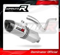 G 310 R Exhaust BMW Muffler Auspuff Sportauspuff Silencer Echappement Silencieux Scarico Scarichi Escape Wydech Tłumik Carbon Tip HP1 2016 - 2018 Dominator 1