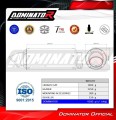 complete exhaust system with muffler DOMINATOR Full System GPF BLACK fits the motorcycle Triumph Trident 660 2021   2024 6