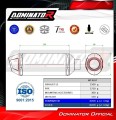 complete exhaust system with muffler DOMINATOR Full System S3 fits to Triumph Daytona 660 2024  2026 5