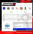 avgassystem ljuddämpare DOMINATOR GPS passar till Kawasaki Z900 2025 2026 5