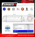 avgassystem ljuddämpare DOMINATOR S6 passar till Kawasaki Z900 2025 2026 5