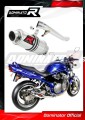 GSF 600 BANDIT EXHAUST Suzuki Muffler Auspuff Sportauspuff Silencer Echappement Silencieux Scarico Scarichi Escape Wydech Tłumik GP 1 2000 - 2004 DOMINATOR 