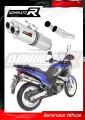 Pegaso 650 Exhaust Aprilia Muffler Auspuff Sportauspuff Silencer Echappement Silencieux Scarico Scarichi Escape OVAL 2001 - 2004 Dominator 