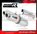 RSV 1000 R Exhaust Aprilia Muffler Auspuff Sportauspuff Silencer Echappement Silencieux Scarico Scarichi Escape OVAL 2004 - 2009 Dominator 