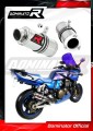 ZRX 1200 S EXHAUST Kawasaki Muffler Auspuff Sportauspuff Silencer Echappement Silencieux Scarico Scarichi Escape Wydech Tłumik GP 1 2001 - 2007 Dominator 