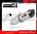 RS 125 Exhaust Aprilia Muffler Auspuff Sportauspuff Silencer Echappement Silencieux Scarico Scarichi Escape Carbon Tip HP1 1999 - 2005 Dominator 